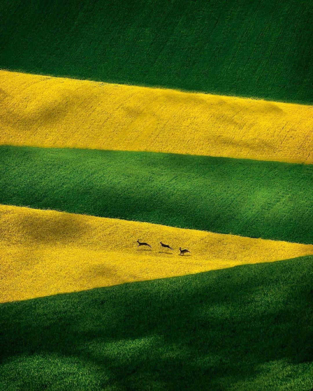 塞尔维亚的乡村来自摄影师milossimic