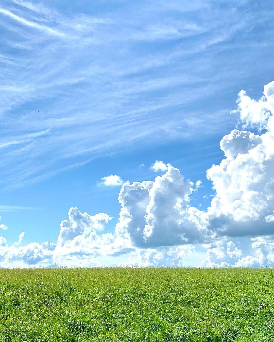  草原与夏日晴空，来自摄影师Forestaso。 