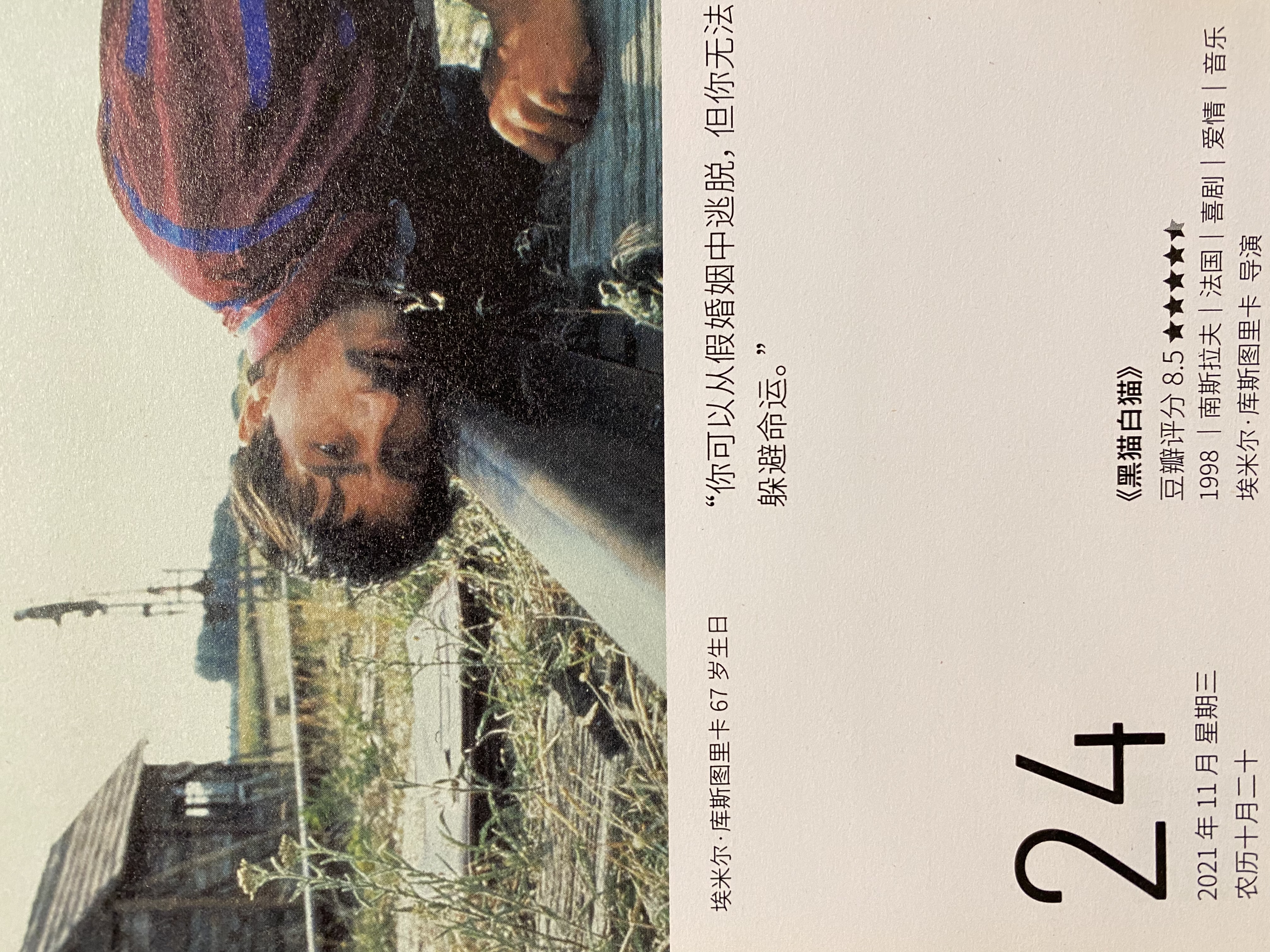 2021年11月24日。<br/>你可以从假婚姻中逃脱，但你无法躲避命运。<br/>《黑猫白猫》