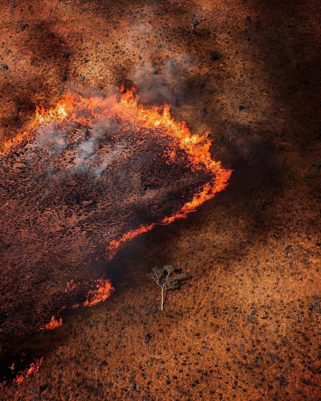  野火，来自摄影师Harman Singh Heer。 