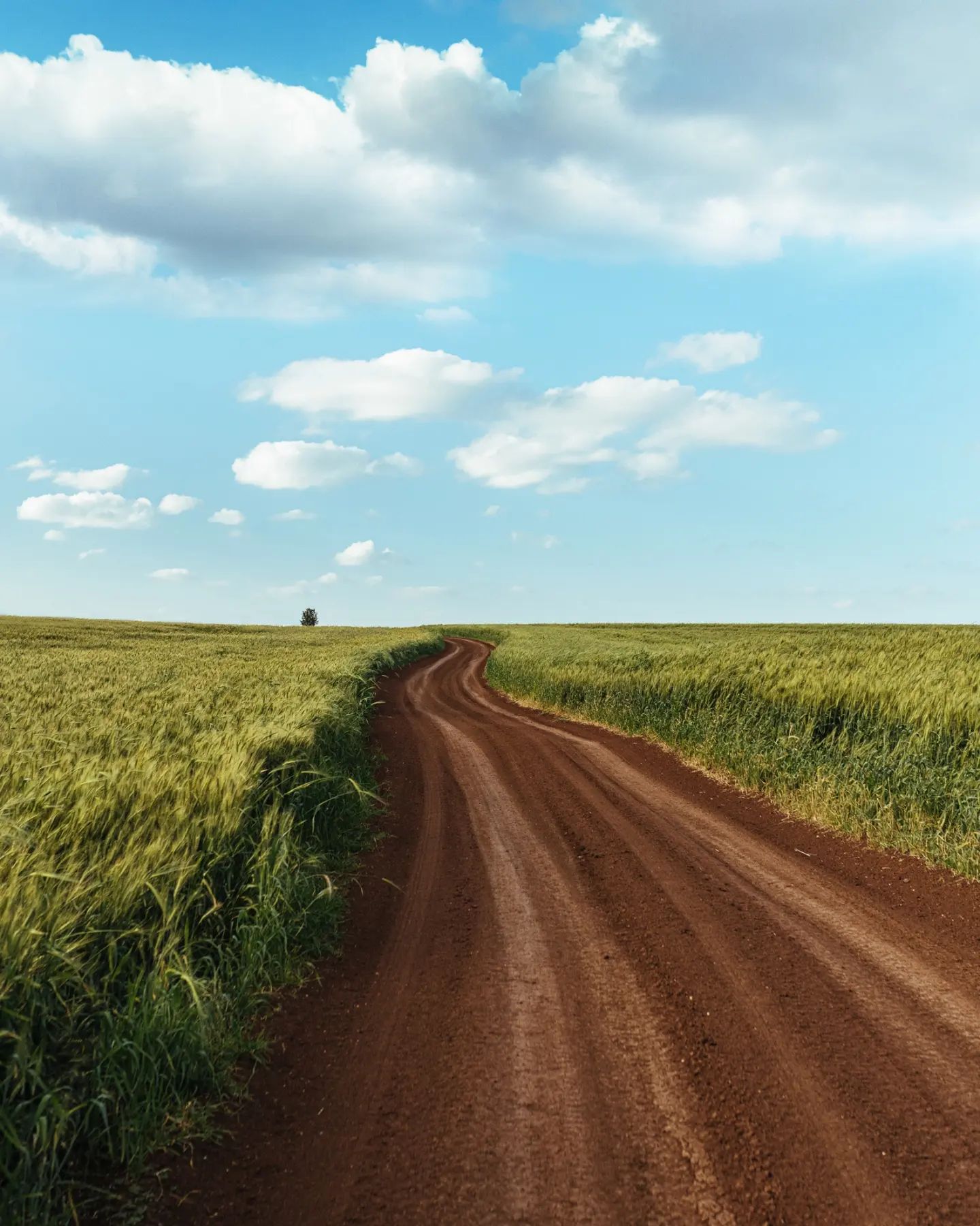 田野来自摄影师mysoulwax