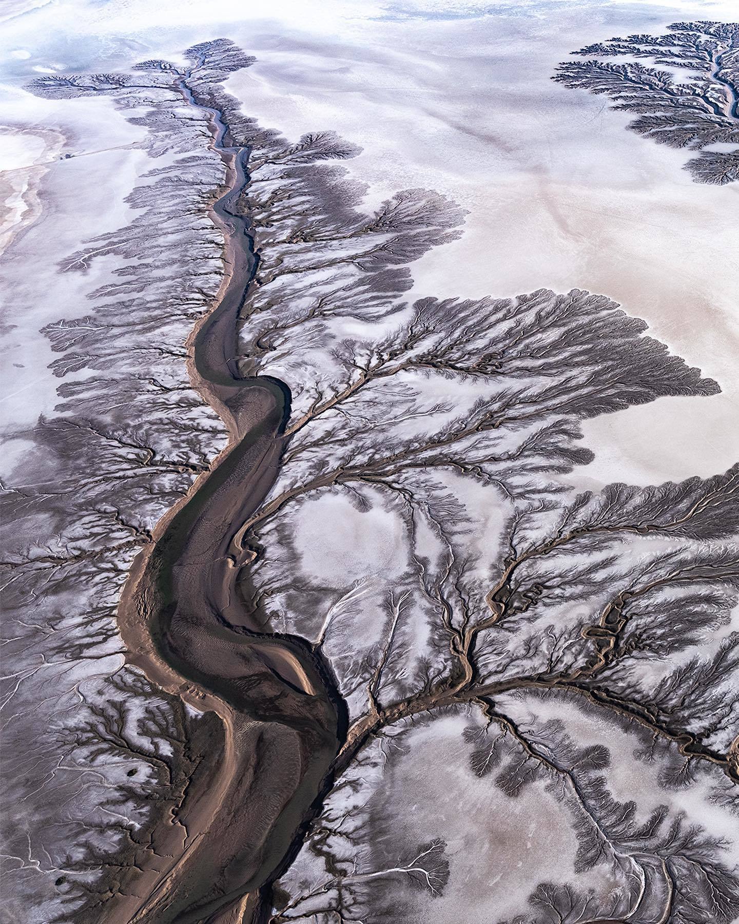  科罗拉多河，来自摄影师Paul Nicklen。 
