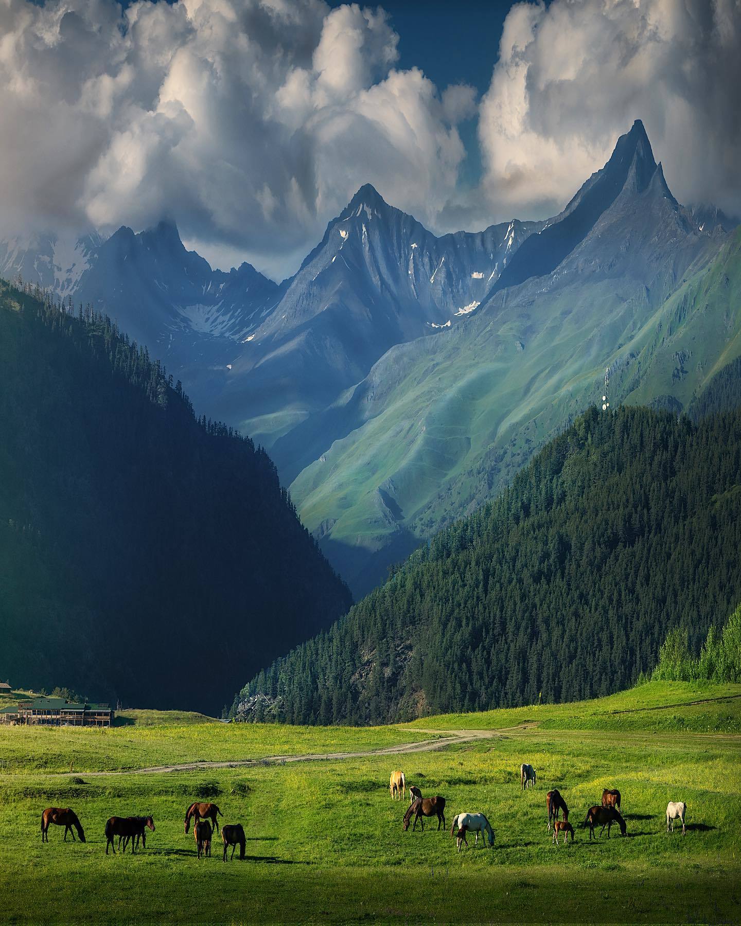  格鲁吉亚的群山，来自摄影师Ilhan Eroglu。 