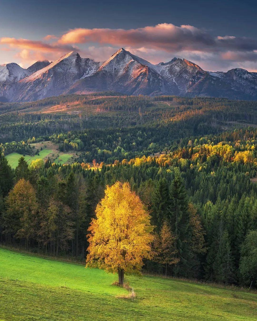  斯洛伐克群山的秋天，来自摄影师Boris Michalicek。 