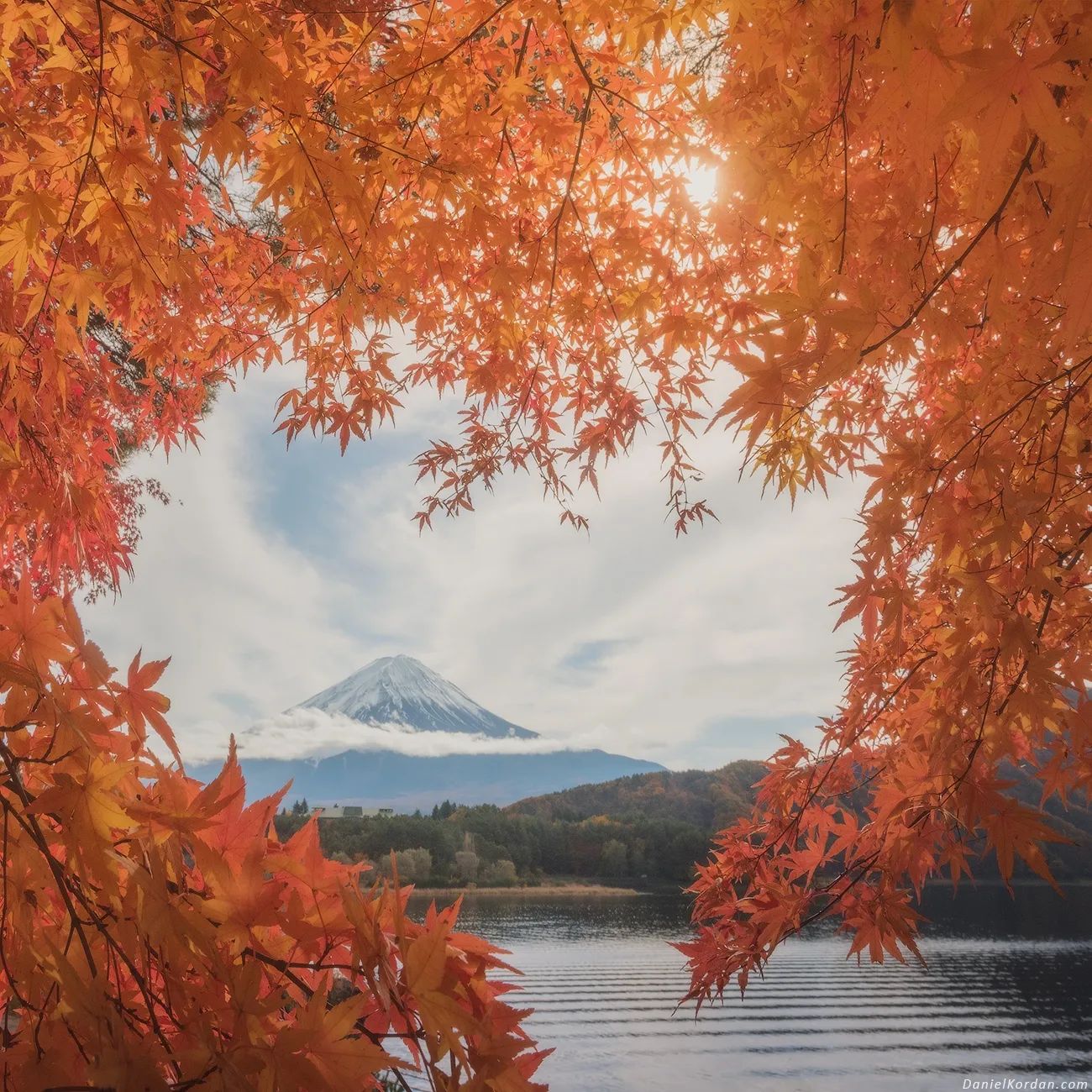  枫叶与富士山，来自摄影师Daniel Kordan。 