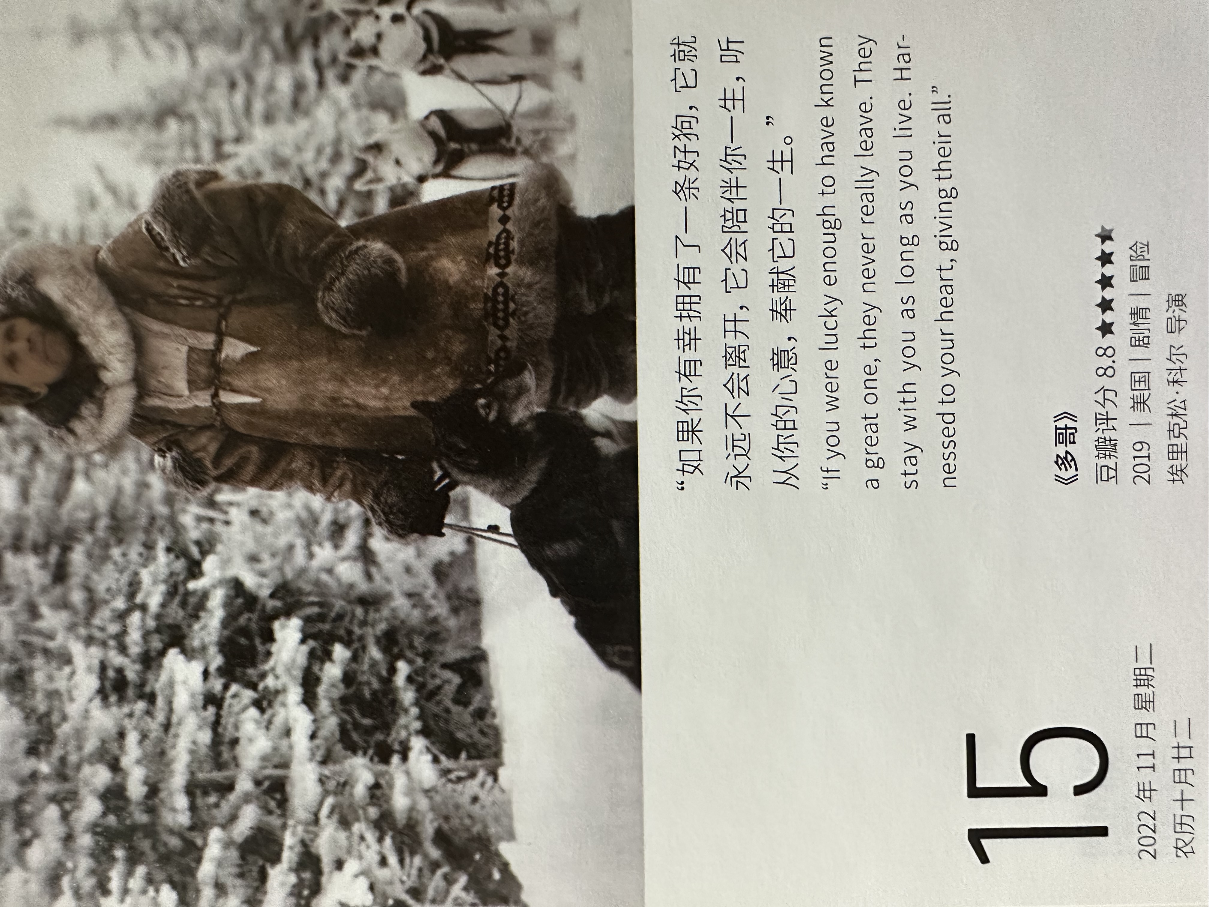2022年11月15日。<br/>如果你有幸拥有了一条好狗，它就永远不会离开，它会陪伴你一生，听从你的心意，奉献它的一生。<br/>《多哥》