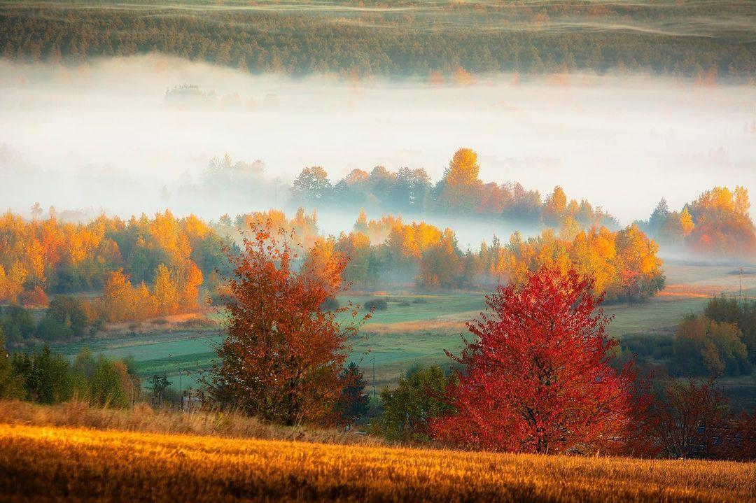  秋日，来自摄影师Piotr Michalec。 