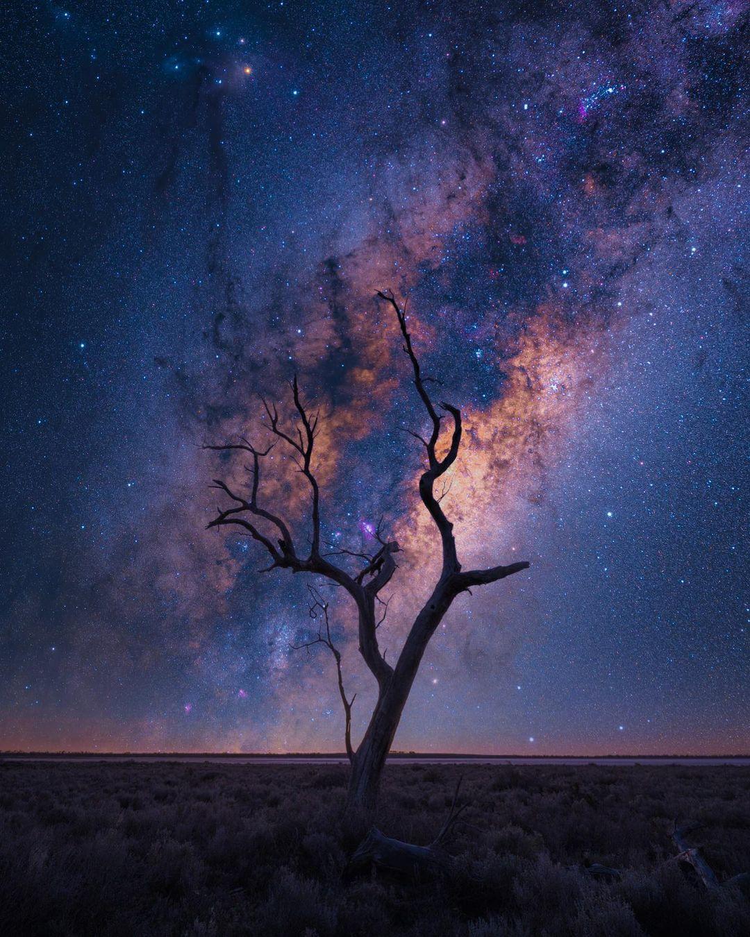  星空，来自摄影师Steve K。 