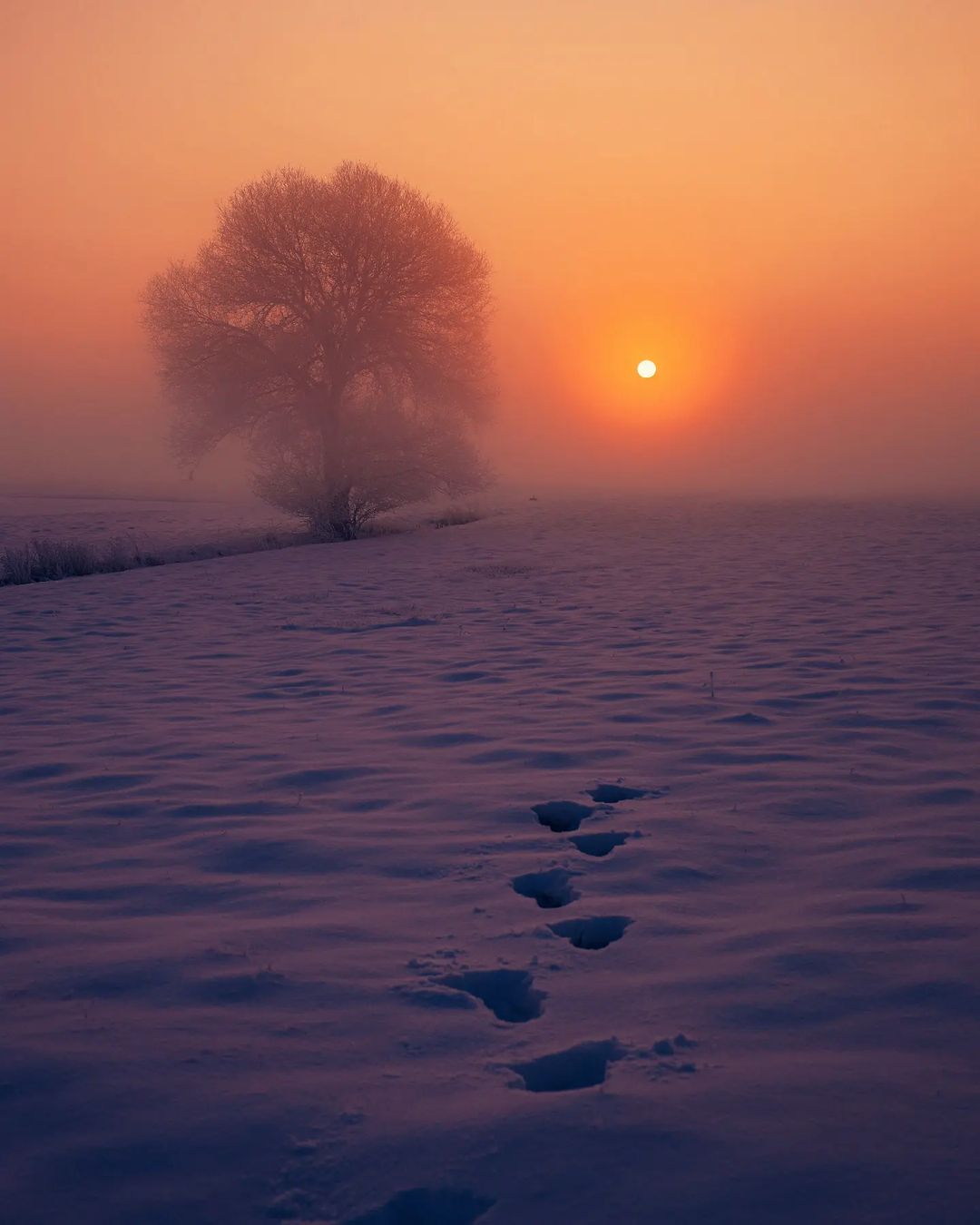  雪地，来自摄影师Mirco Pietsch。 