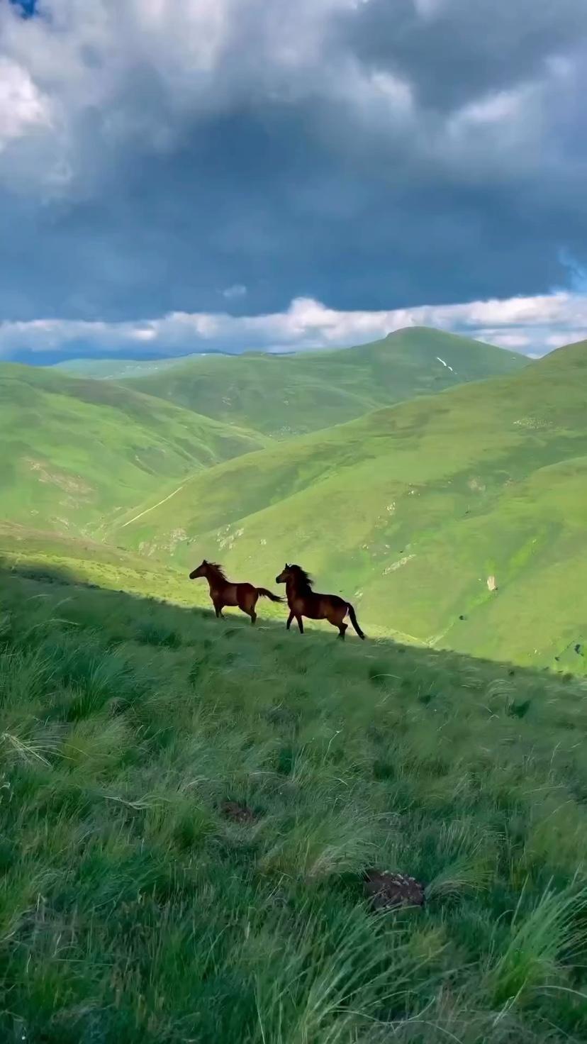 山间的马，来自摄影师Afrimtahiraj。