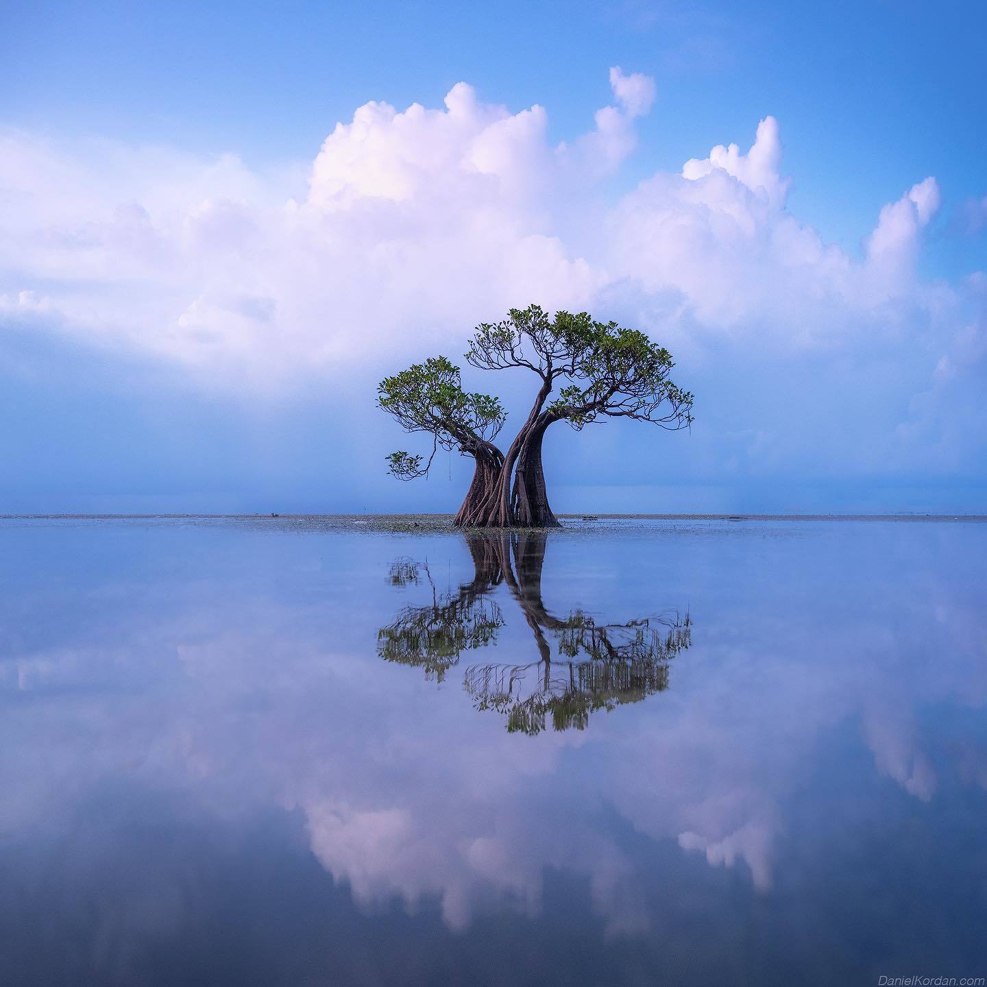  海与树，Daniel Kordan摄于松巴岛。 