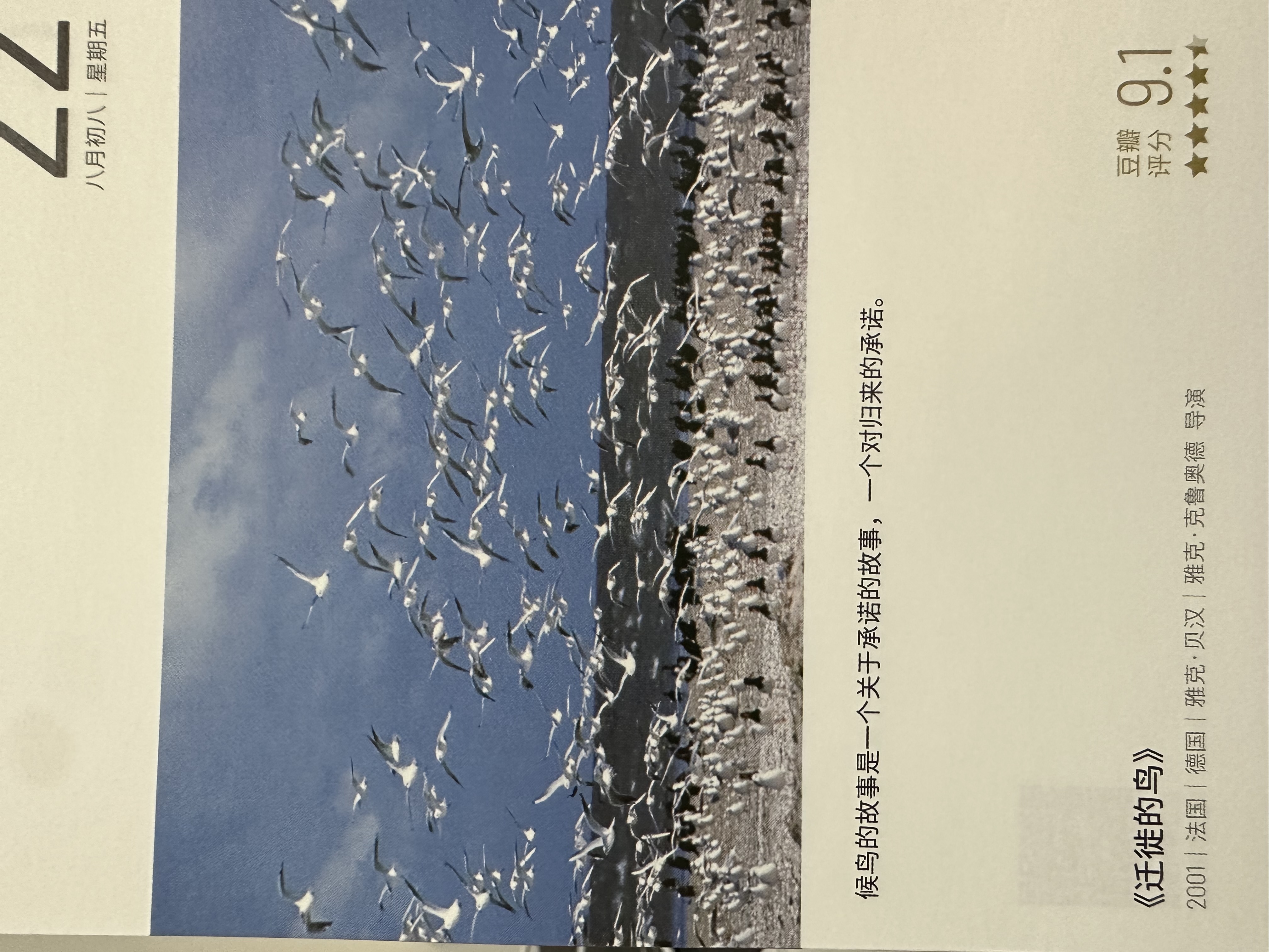2023年9月22日。<br/>候鸟的故事是一个关于承诺的故事，一个对归来的承诺。<br/>《迁徙的鸟》