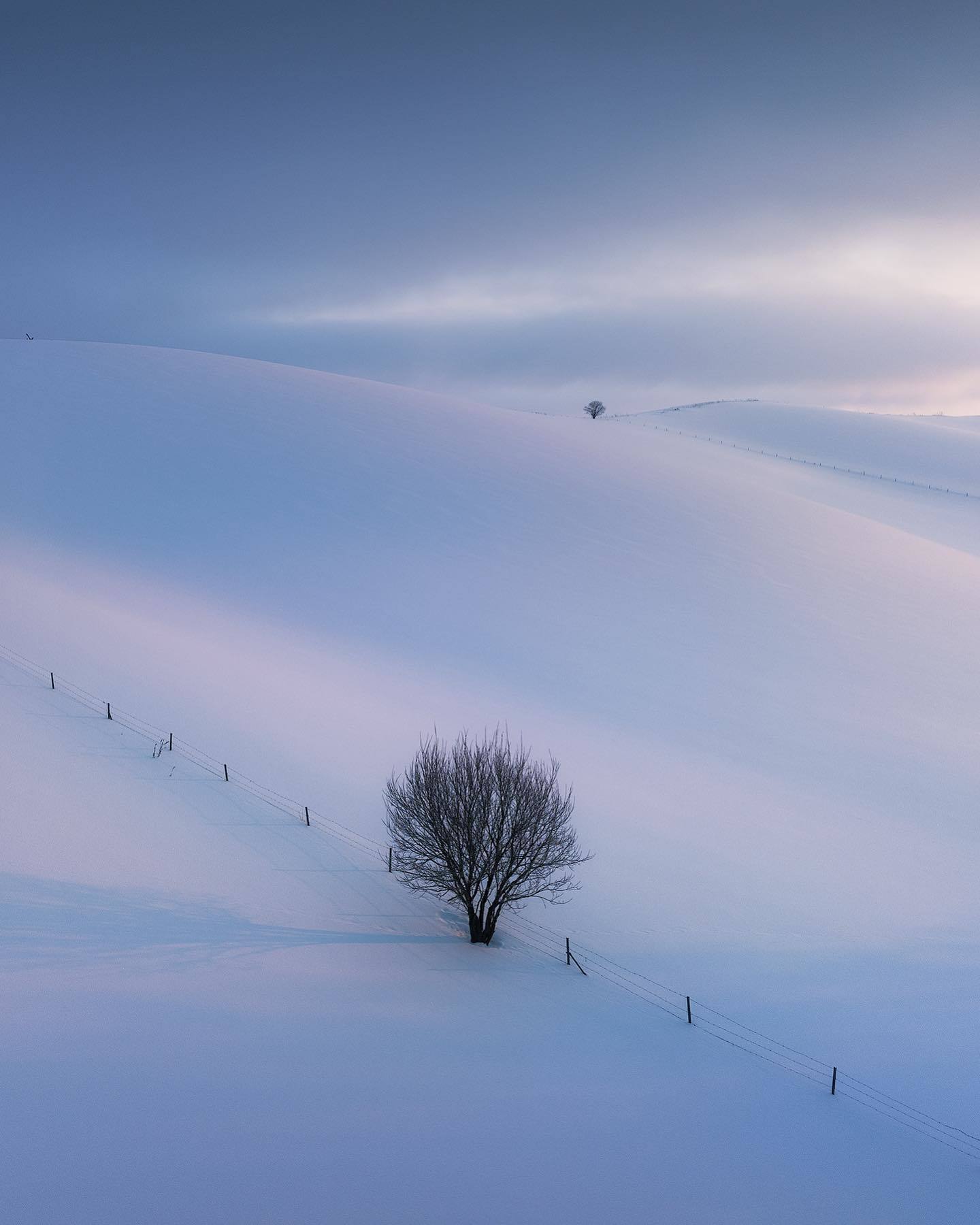  北海道的雪，来自摄影师Daniel Kordan。 