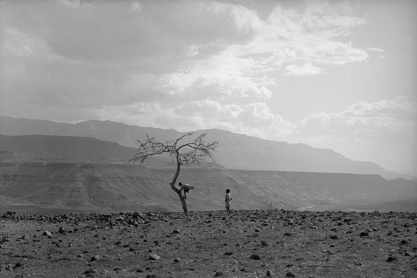  埃塞尔比亚，Raymond Depardon摄于1994年。 