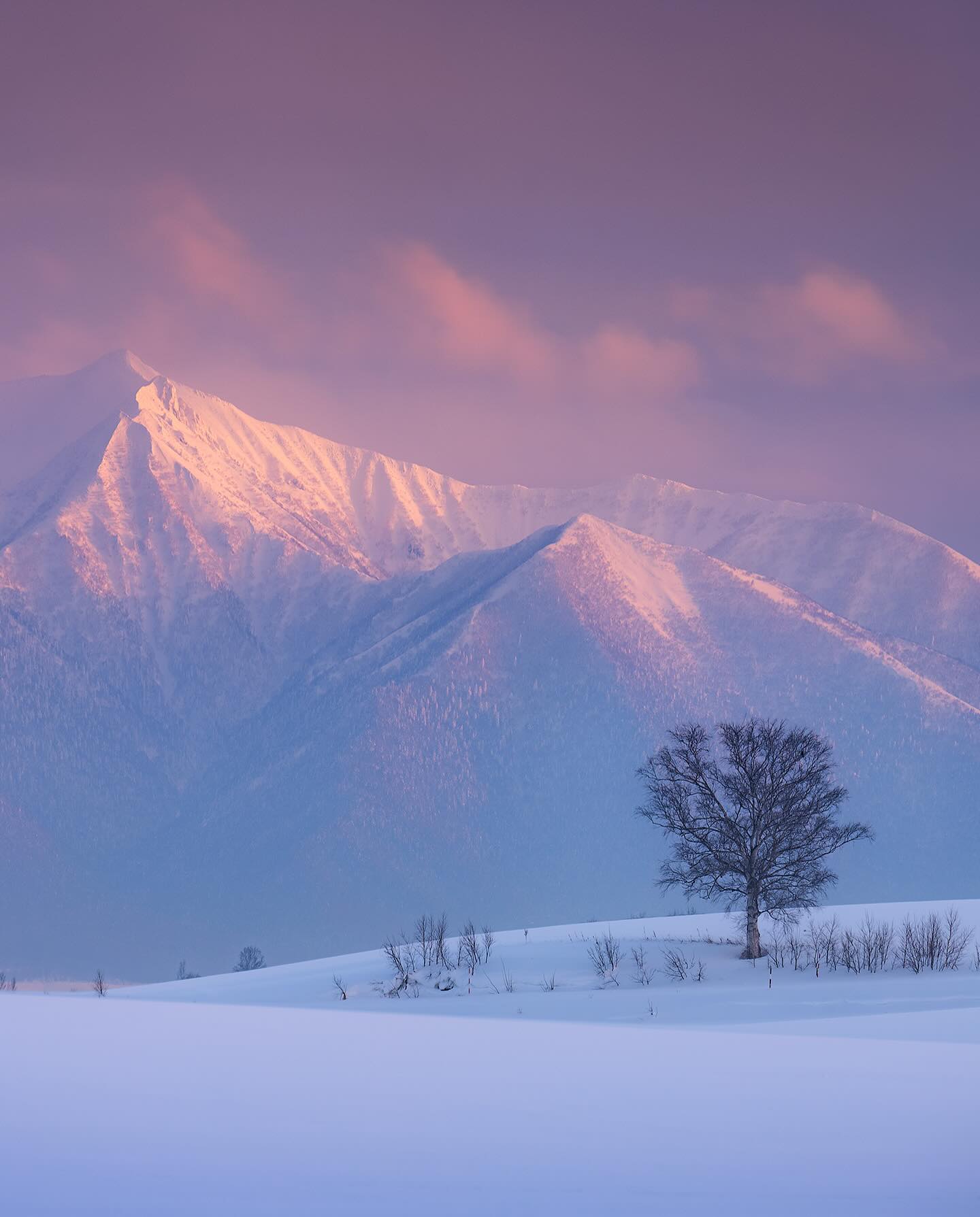  晨光中的雪山，来自摄影师Daniel Kordan。 